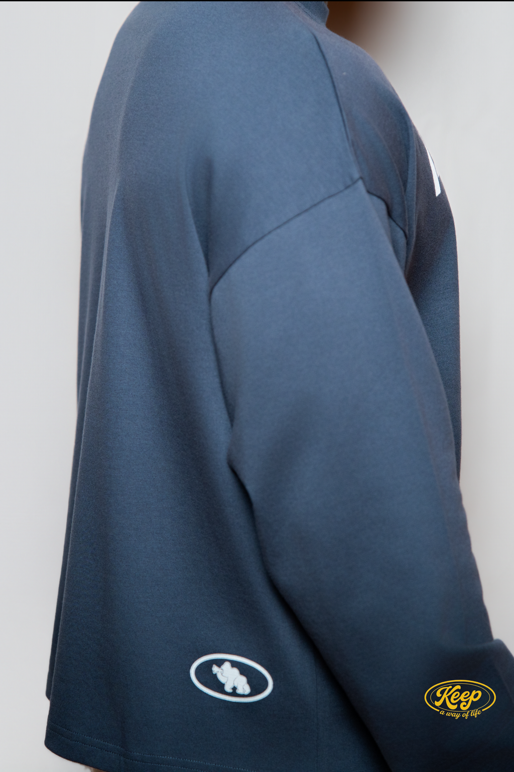 A.W.O.L. SLEEVE BLUE